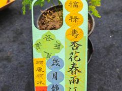 -琴书和韵(上南馆旗舰店)