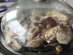 -大锅强·蒸海鲜青岛菜(吾悦广场店)