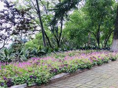-龟山风景区-龟山电视塔