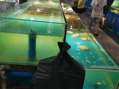 -学府海鲜批发市场