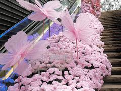 -万科生活广场(东莞松山湖店)