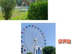 -百万葵园