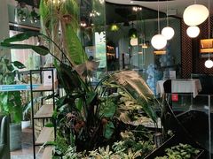 -大快乐牛排咖啡馆·本地西餐厅(南溪钻石城店)