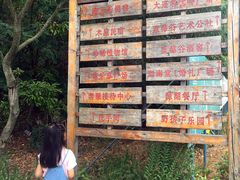 -金石滩蓝莓谷庄园