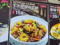 -农家大院