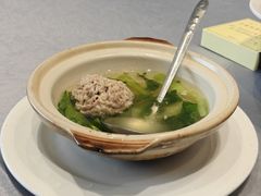 -丁老爷子苏香圆