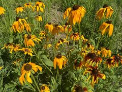 -长春公园(普阳街道)