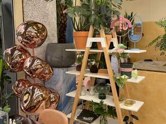 -PlantsEatery·植物食堂(REX春熙店)