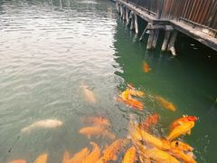 -乌村