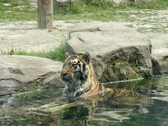 -上海野生动物园