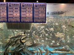 -丹江渔村(首都机场店)