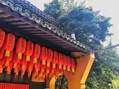-龙华寺