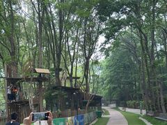 -紫金山山顶公园