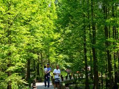 -桤木河湿地公园