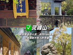 -阿露佳·舌尖上的安吉菜