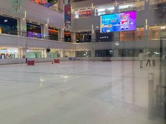 -炫采冰场(红博中央公园商场店)