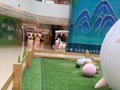 -阳光天地