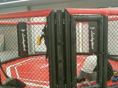 -金吉鸟健身游泳