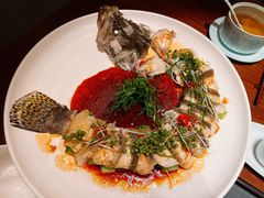 -觅唐MITONG(鸟巢店)