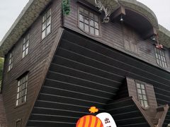 -金山农民画村-枫泾波兰倒置屋