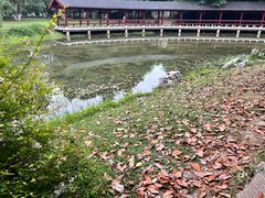 -堤角公园