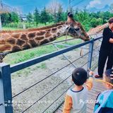 超多萌宠‼️超多表演‼️超级适合溜娃的亲子乐园㊙️