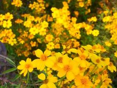 android_upload_pic-广州市石门国家森林公园