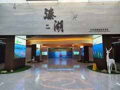 -溱湖国家湿地公园