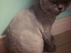 -19号私房菜(云南路店)