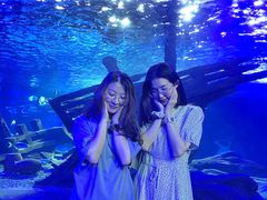 -江和美海洋公园