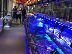 -渔民船说·北塘海鲜·天津菜·海肠捞饭(北塘古镇店)