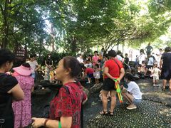 -成都市活水公园