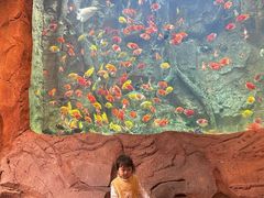 -杭州开元森泊度假乐园