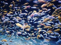 -成都浩海立方海洋公园