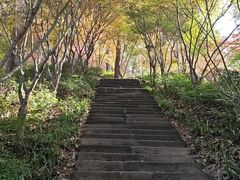 -大金鹰园