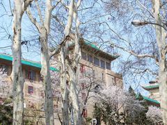 -武汉大学-樱园