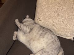 -隅cafe(傅厚岗店)