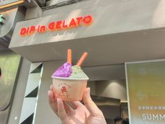 -DIP in GELATO(富民路店)