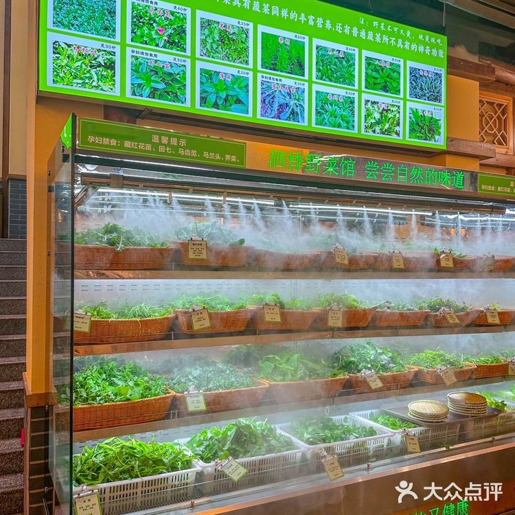 我宣布!成都最养生的野菜汤锅