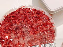 -奈雪的茶(新天地广场PRO店)