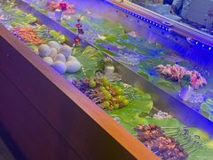 -鼎原力量东北吊炉烧烤(幸福街店)