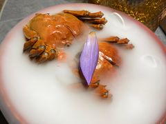 -吴越荣记·苏州菜·松鼠桂鱼(斜塘老街店)
