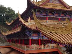 -东莞市大岭山森林公园