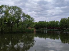 -大兴滨河森林公园