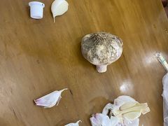 -回坊马二饺子馆