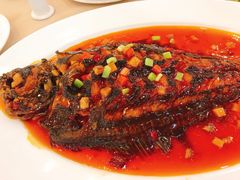 干烧左口鱼-鹏天阁酒楼·海鲜(红旗店)