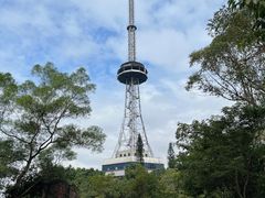 -大雁山风景区