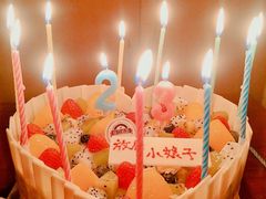 -维尔纳斯·生日蛋糕动物奶油冰淇淋蛋糕(人大店)