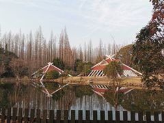 -东平国家森林公园