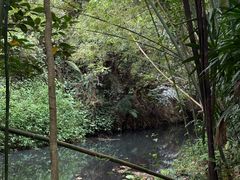 -大屏嶂森林公园